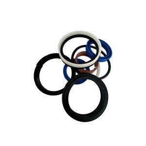 Tilt Ram Seal Kit F3RE10